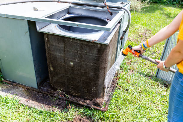 Air Duct Mold Removal in MT
